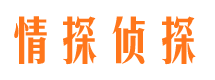 且末市调查取证